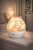 1000017297.png